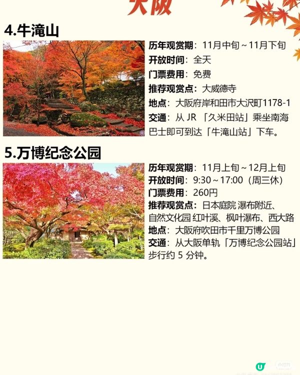 🍁关西赏枫地图这些绝美景点和近铁百货更配