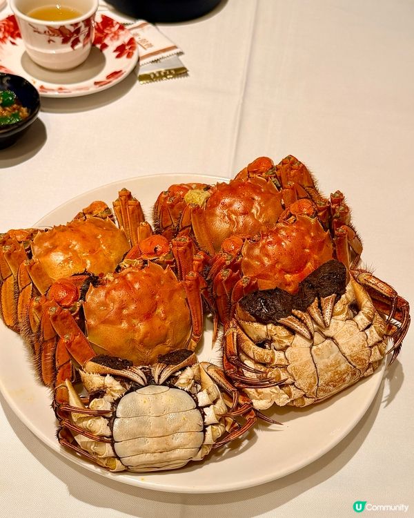 超強爆膏大閘蟹套餐