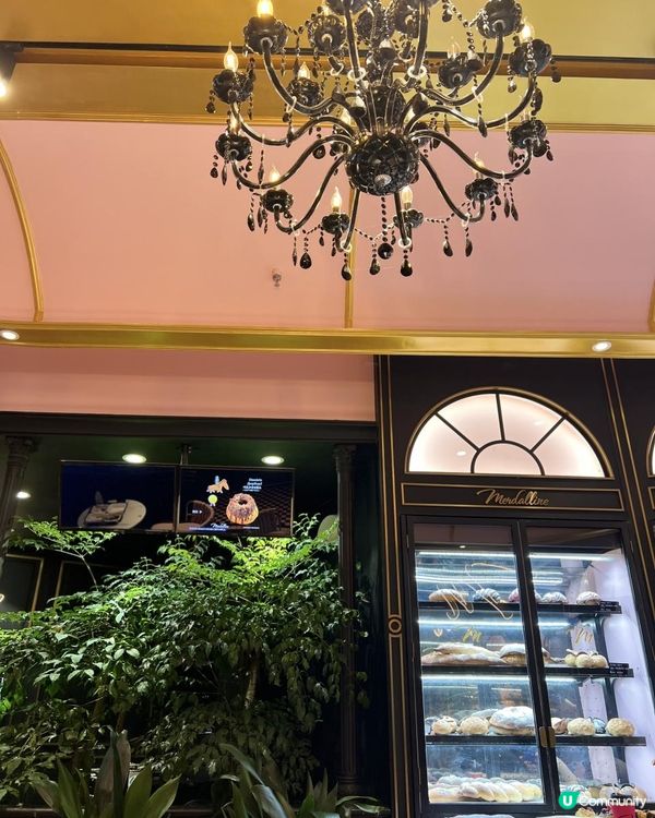 紐約烘焙名店「麥德蓮MERDALLINE」全國首店重慶開業