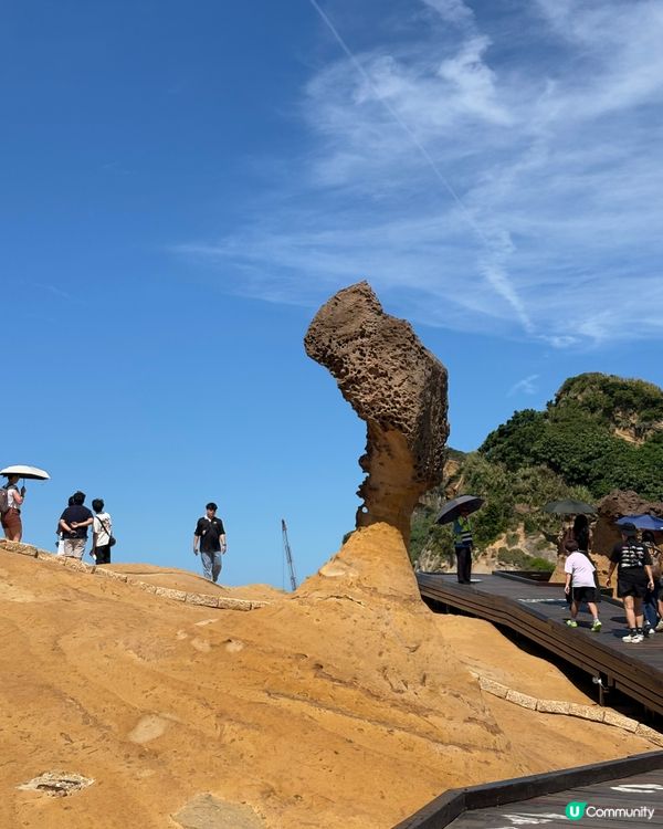 野柳女王頭打卡！夏日限定🌊📸 台灣好去處！