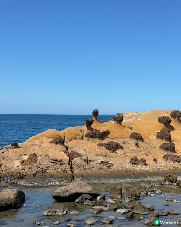 野柳女王頭打卡！夏日限定🌊📸 台灣好去處！