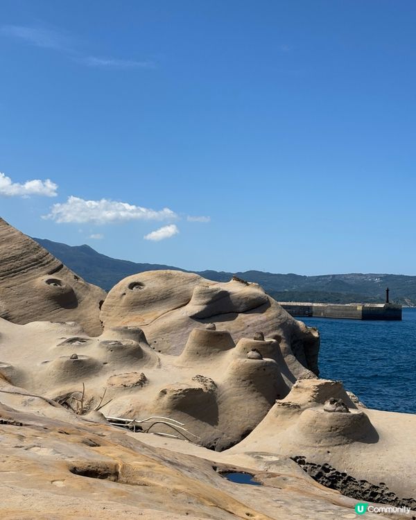 野柳女王頭打卡！夏日限定🌊📸 台灣好去處！