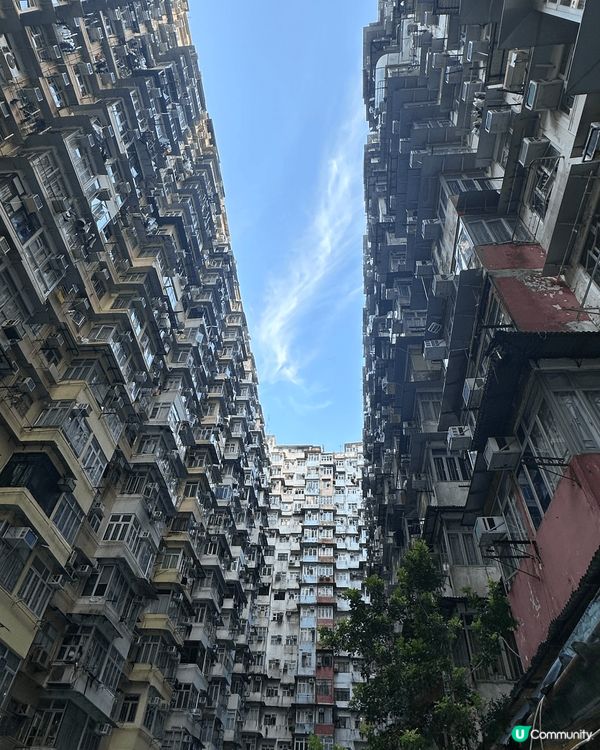 最近最Hit嘅係鰂魚涌怪獸大廈嘅Ice Bean 又有新攪作...