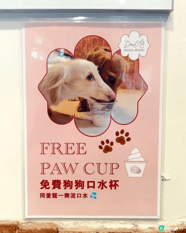 呢杯係Drool Froyo滋味杯，我今次試佢新出嘅開心果味...