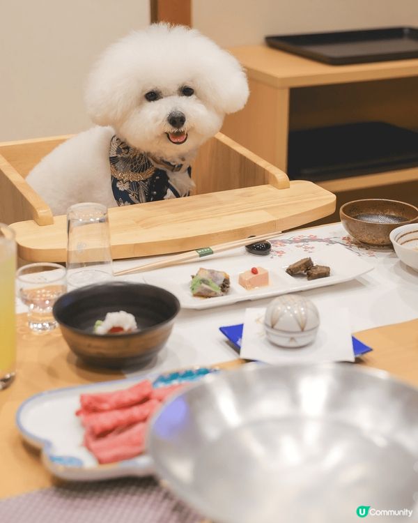 呢間餐廳真係一個不錯既選擇，您可以帶著毛孩一起來享受美味的泰...