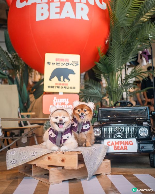 狗狗必備衣服CAMPING BEAR🐻一齊去冒險啦