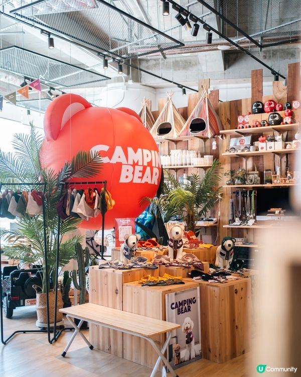 狗狗必備衣服CAMPING BEAR🐻一齊去冒險啦