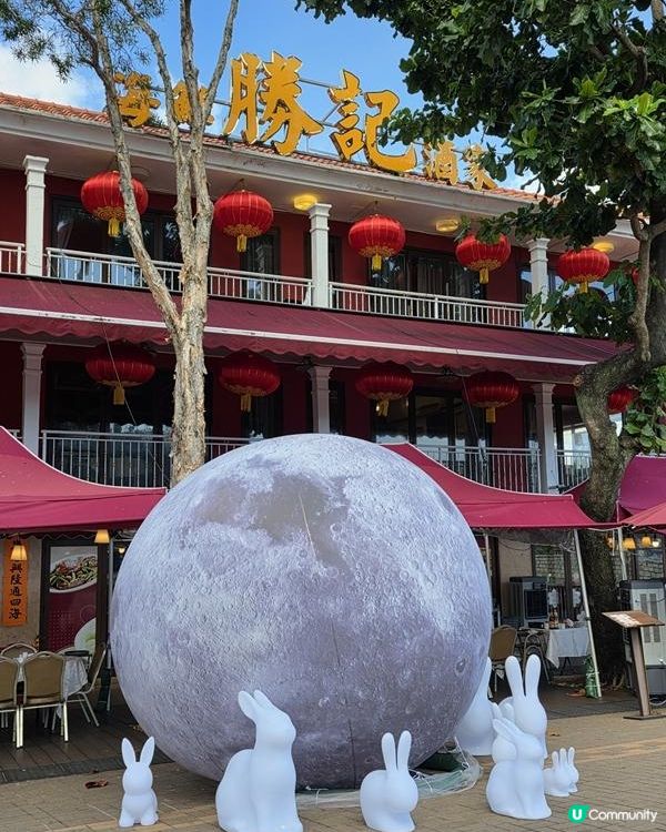 魚蝦蟹海鮮餐♥創意擺盤之作