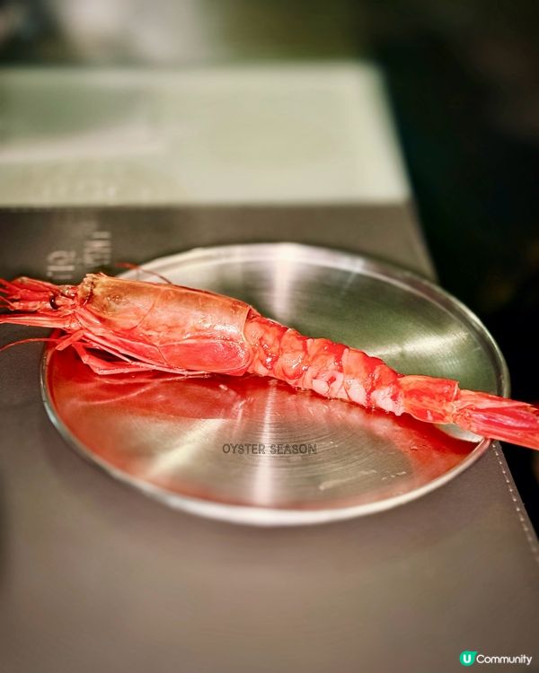 🦪 $9 生蠔 + 鮮味 海鮮✨ 