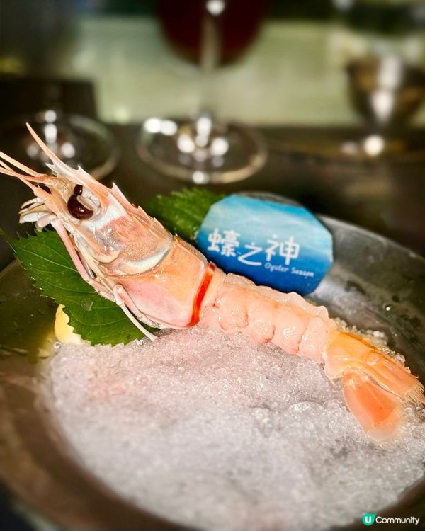 🦪 $9 生蠔 + 鮮味 海鮮✨ 