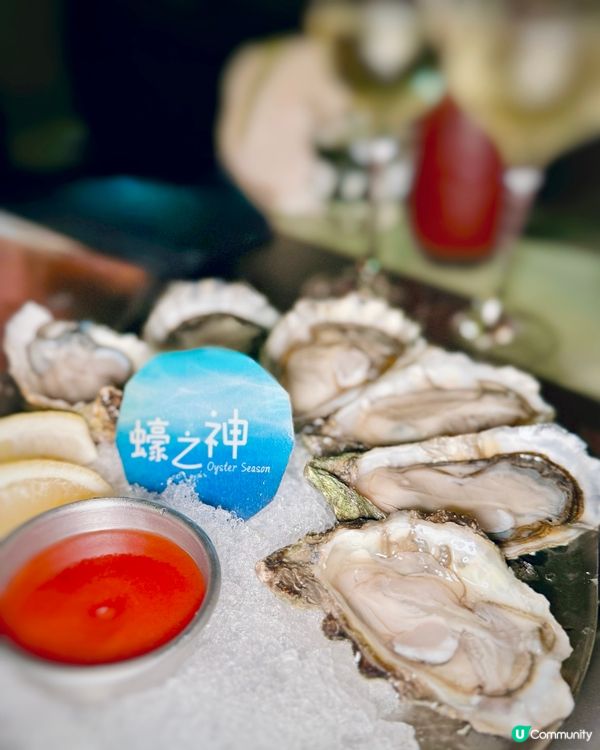 🦪 $9 生蠔 + 鮮味 海鮮✨ 