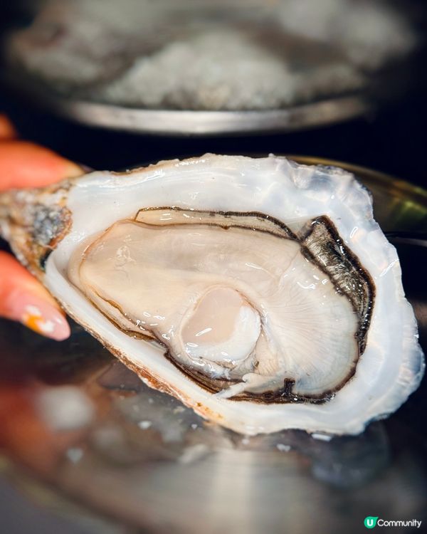 🦪 $9 生蠔 + 鮮味 海鮮✨ 