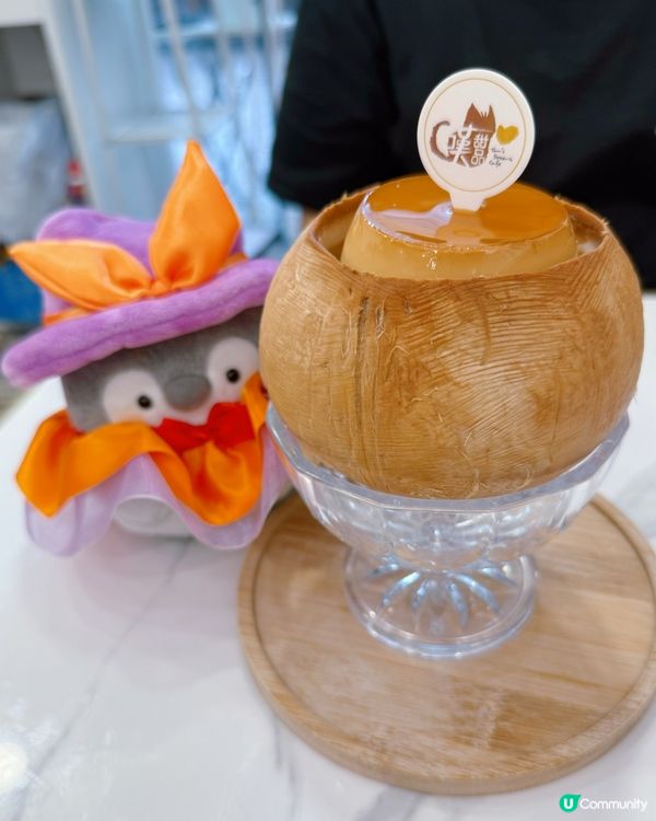 貓奴必去！😻 貓貓甜品店治癒你心！🍮