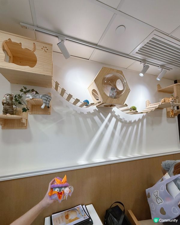 貓奴必去！😻 貓貓甜品店治癒你心！🍮