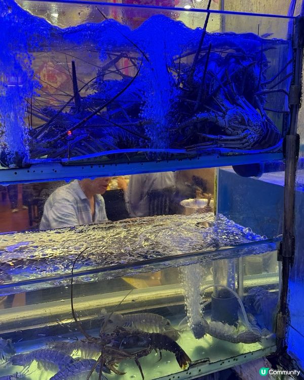 太子海鮮蒸鍋🔥$398超抵食！海鮮控必去！😋