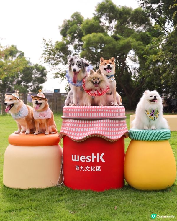 全新 💫！西九寵物俱樂部🌟