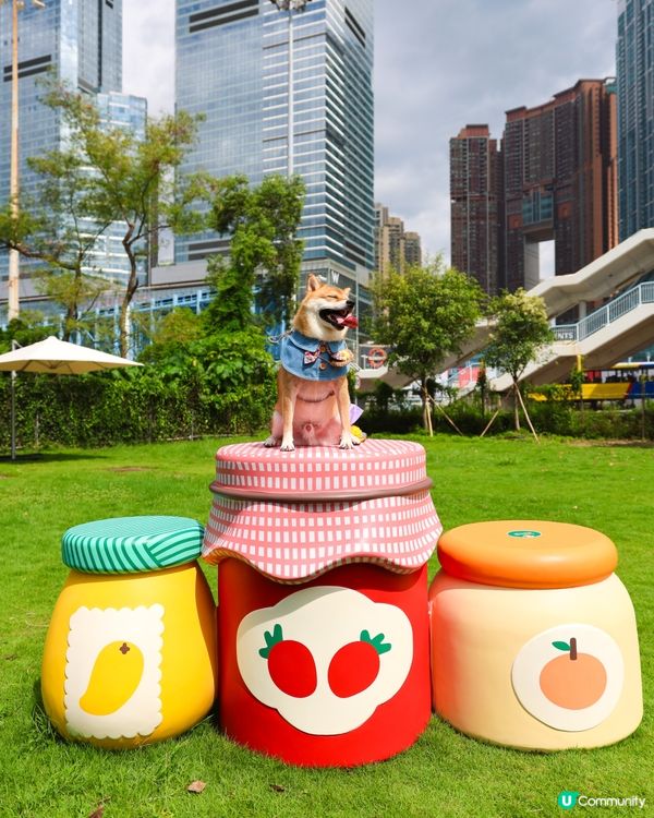 全新 💫！西九寵物俱樂部🌟