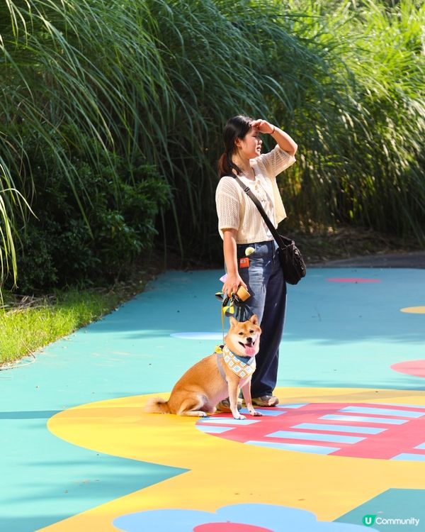 全新 💫！西九寵物俱樂部🌟