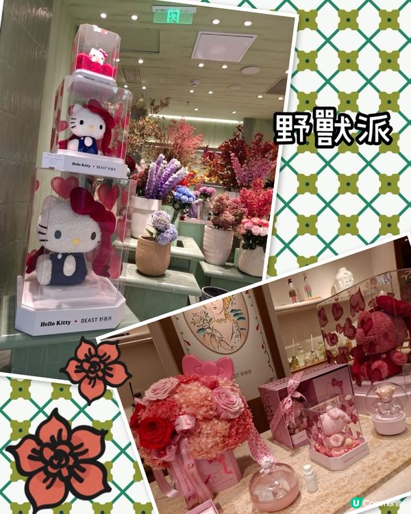 北上探店實測！伏定唔伏？🤔 睇片！