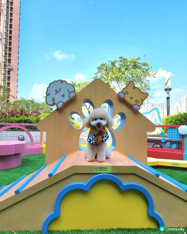 青衣城寵物友善商場