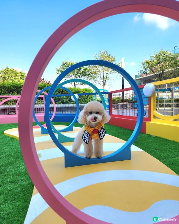 青衣城寵物友善商場