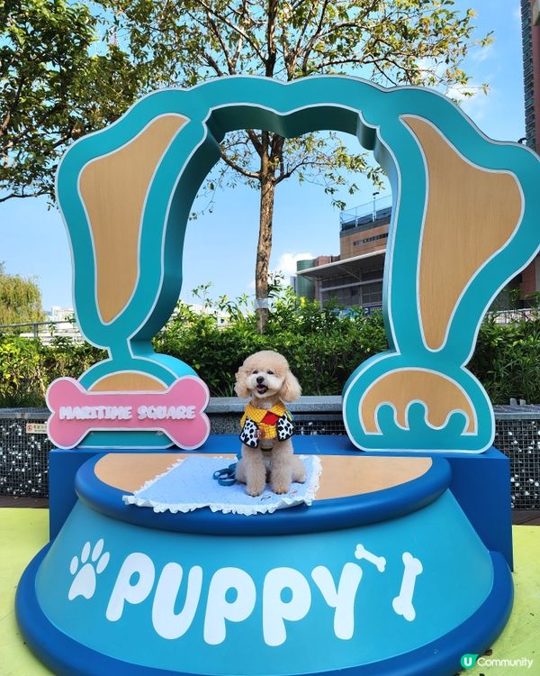 青衣城寵物友善商場