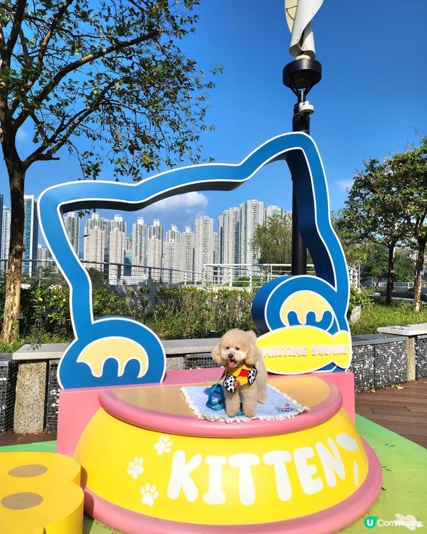 青衣城寵物友善商場