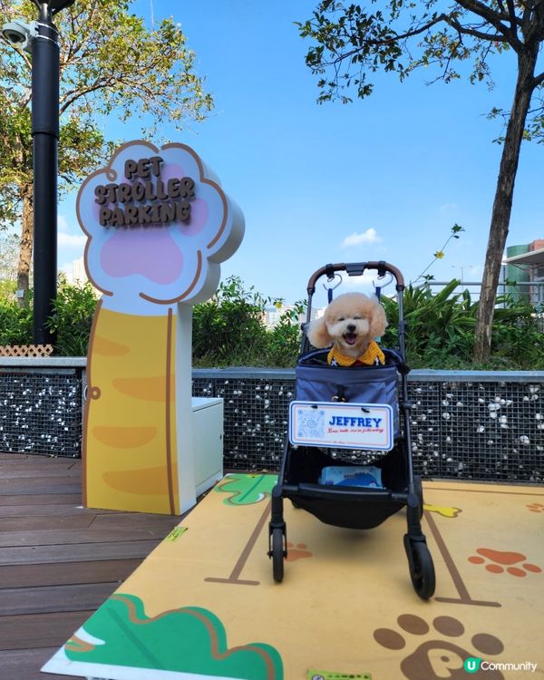 青衣城寵物友善商場