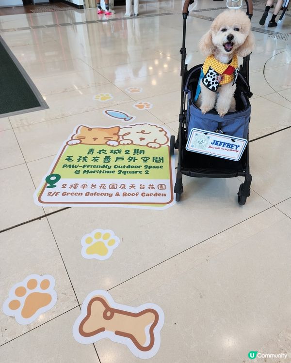 青衣城寵物友善商場