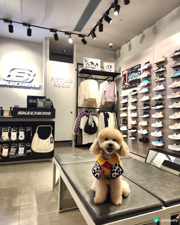 青衣城寵物友善商場