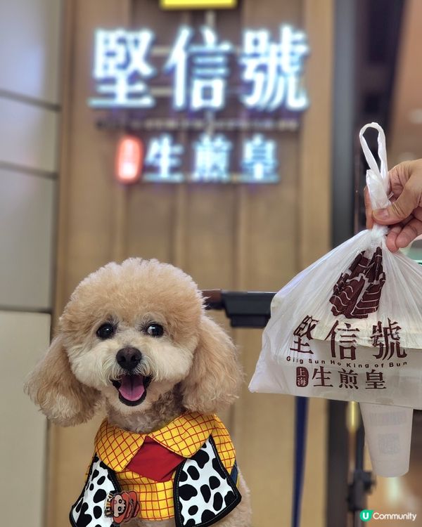 青衣城寵物友善商場