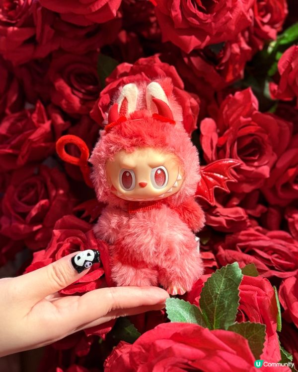 紅玫瑰樓梯打卡📸 法國菜😋