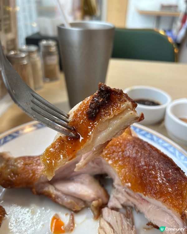 📍粉嶺|神級雞脾配彈牙烏冬