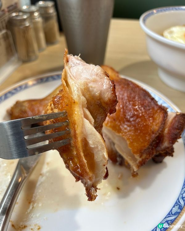 📍粉嶺|神級雞脾配彈牙烏冬