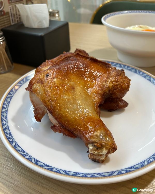 📍粉嶺|神級雞脾配彈牙烏冬