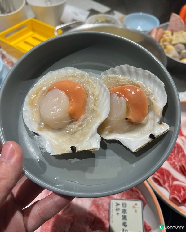 一鍋堂打邊爐抵食之選😈 任食日本黑毛和牛A4+🥩