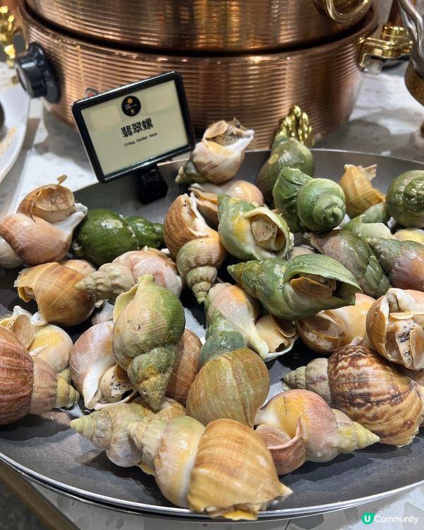 一鍋堂打邊爐抵食之選😈 任食日本黑毛和牛A4+🥩