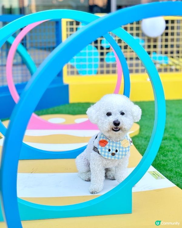 新界區嘅🐶🐱朋友 又多個地方玩啦~