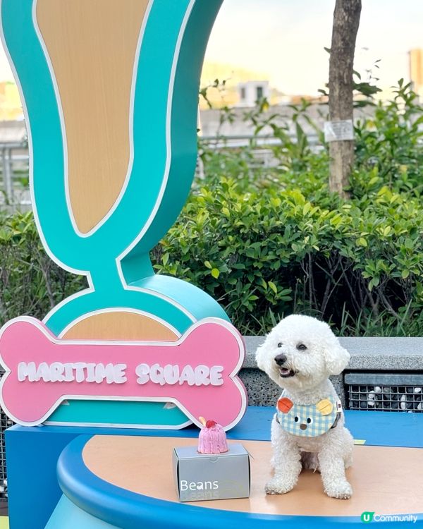 新界區嘅🐶🐱朋友 又多個地方玩啦~