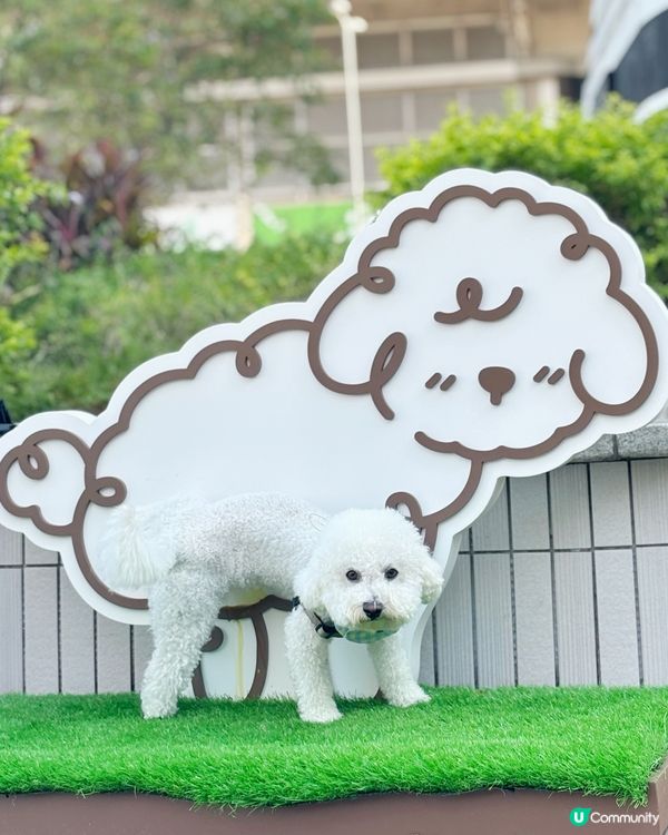 新界區嘅🐶🐱朋友 又多個地方玩啦~