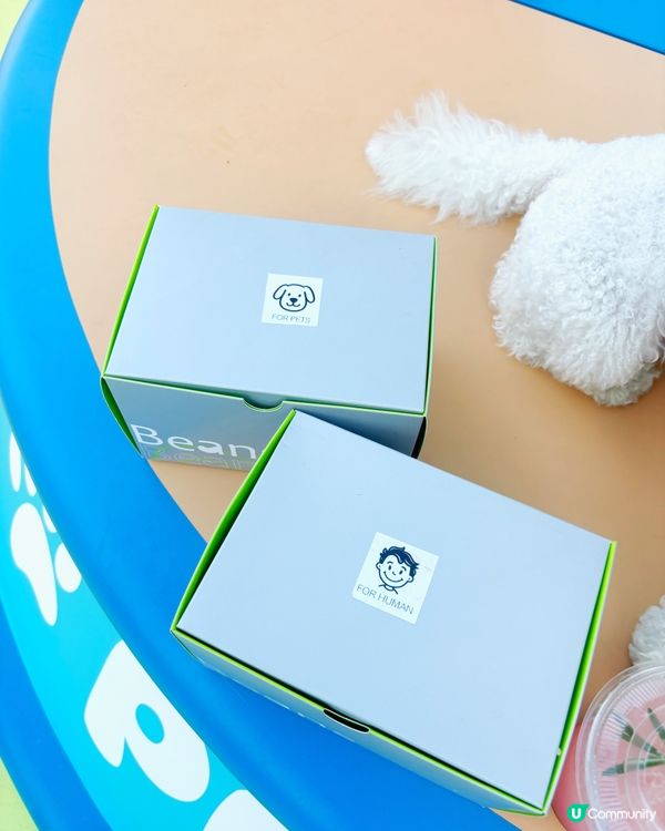 新界區嘅🐶🐱朋友 又多個地方玩啦~