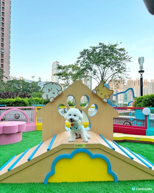 新界區嘅🐶🐱朋友 又多個地方玩啦~