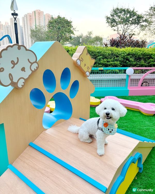 新界區嘅🐶🐱朋友 又多個地方玩啦~