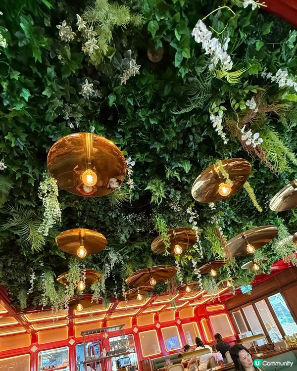 尖東泰越餐廳🔥$88午餐抵到爆！📸😋