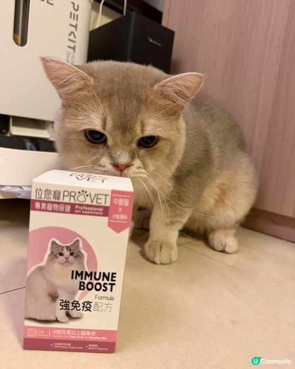 位元堂位您寵免疫貓貓保健品～