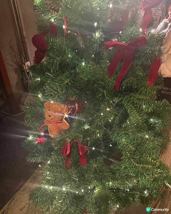 藏身景福宮巷弄的復古鮮花秘境🌹