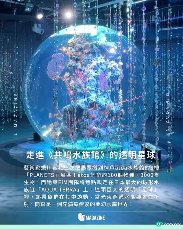 日本最大球形魚缸登場！蜷川實花 X EiM打造的夢幻水族館