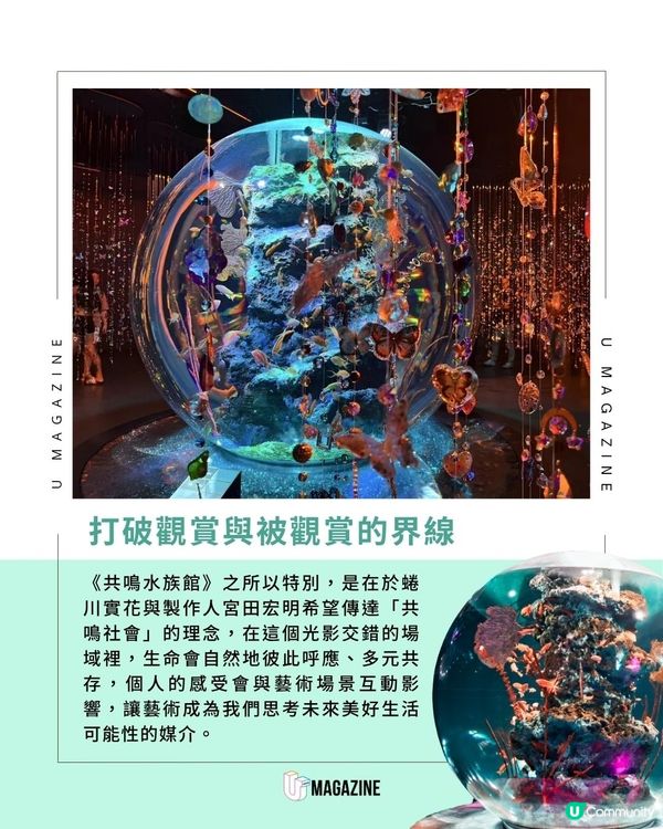 日本最大球形魚缸登場！蜷川實花 X EiM打造的夢幻水族館