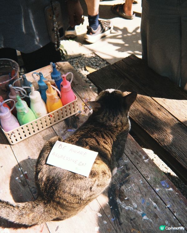 泰國清邁藝術村🎨，手作控必去！🤩