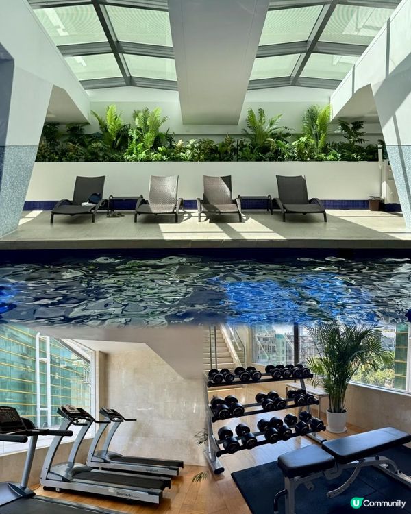 🇲🇴澳門半島。高性價比五星級酒店🏛️